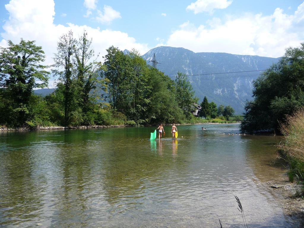 Landhaus Hallstatt Feeling - Apartment - Self Check-In Bad Goisern Ngoại thất bức ảnh